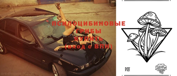 мдма Заводоуковск
