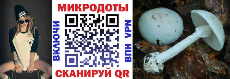 Псилоцибиновые грибы Psilocybe  Купить где  Белоярский 